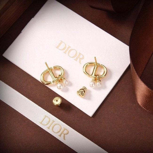 Dior Earrings CE6480