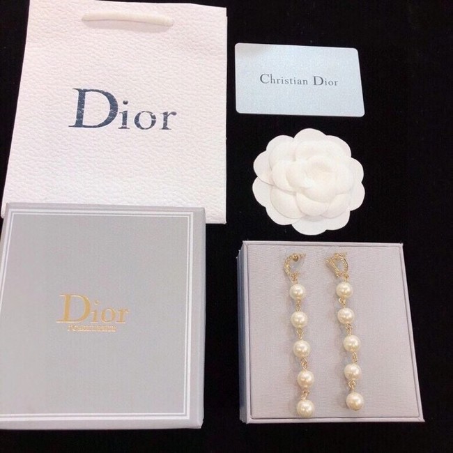 Dior Earrings CE6489