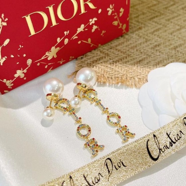 Dior Earrings CE6490