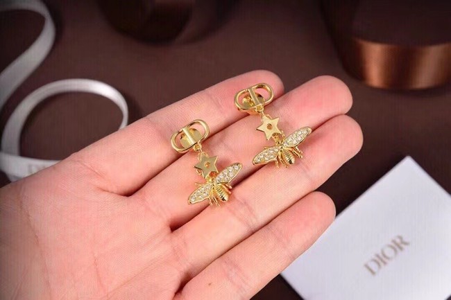 Dior Earrings CE6495