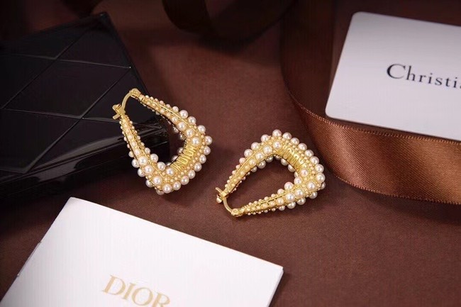 Dior Earrings CE6497