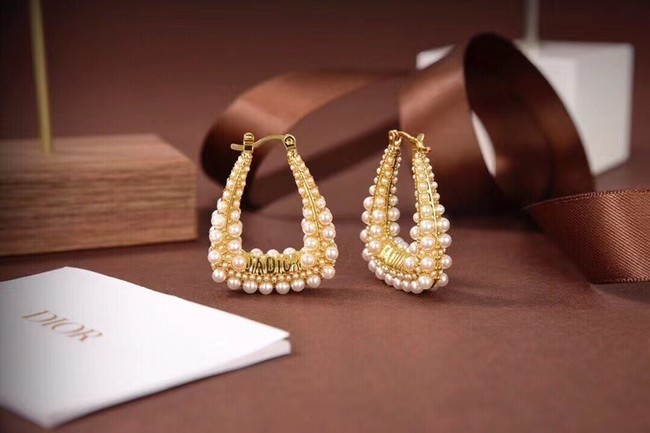 Dior Earrings CE6497