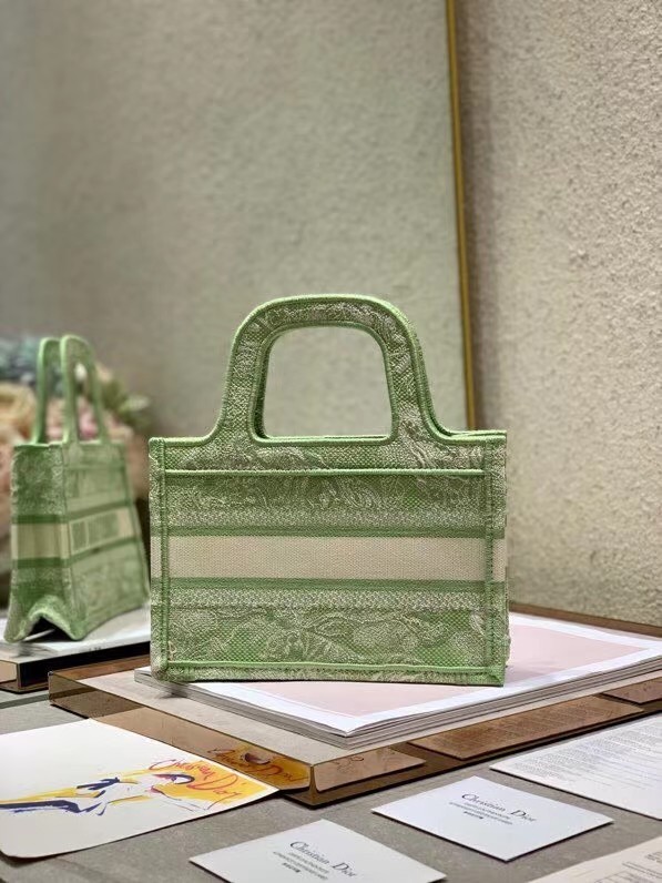 MINI DIOR BOOK TOTE Embroidery S5475Z green