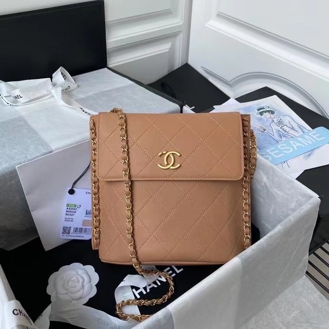 Chanel small hobo bag AS2543 AS2542 brown