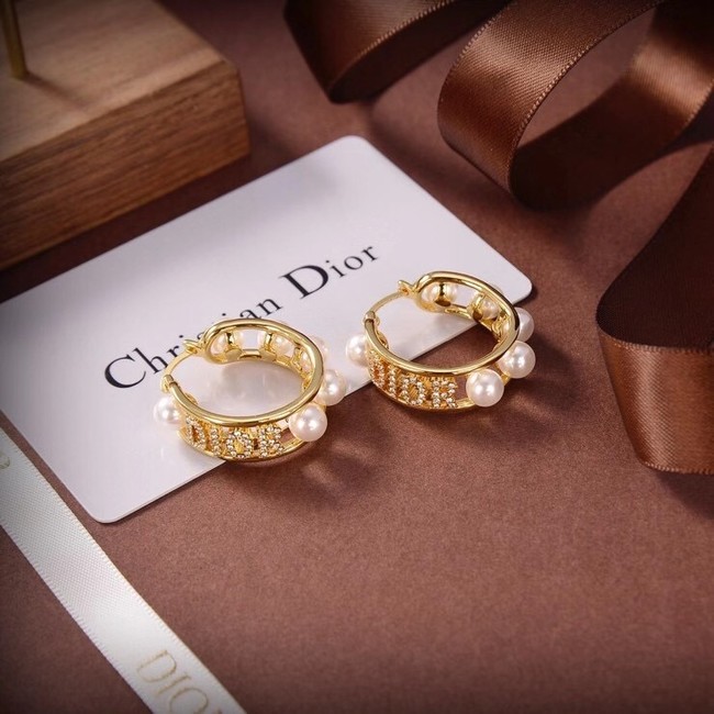 Dior Earrings CE6503