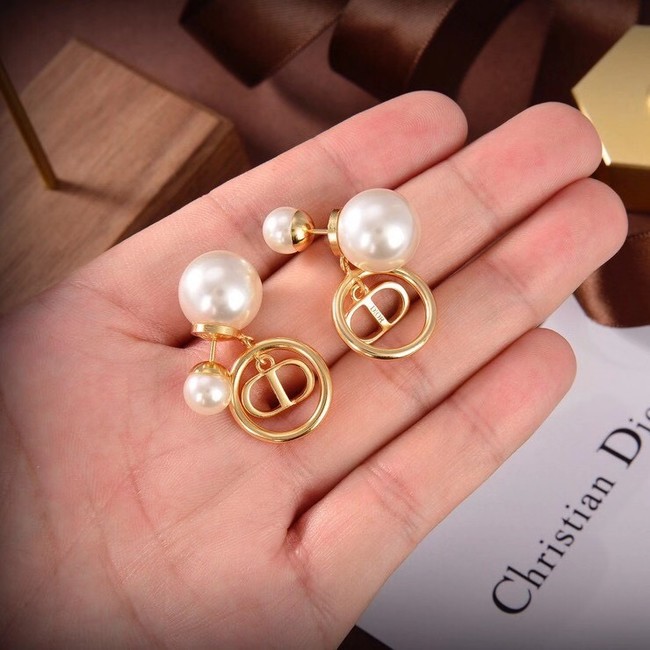 Dior Earrings CE6504