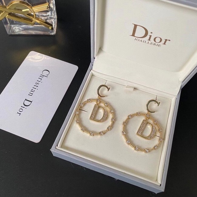 Dior Earrings CE6548