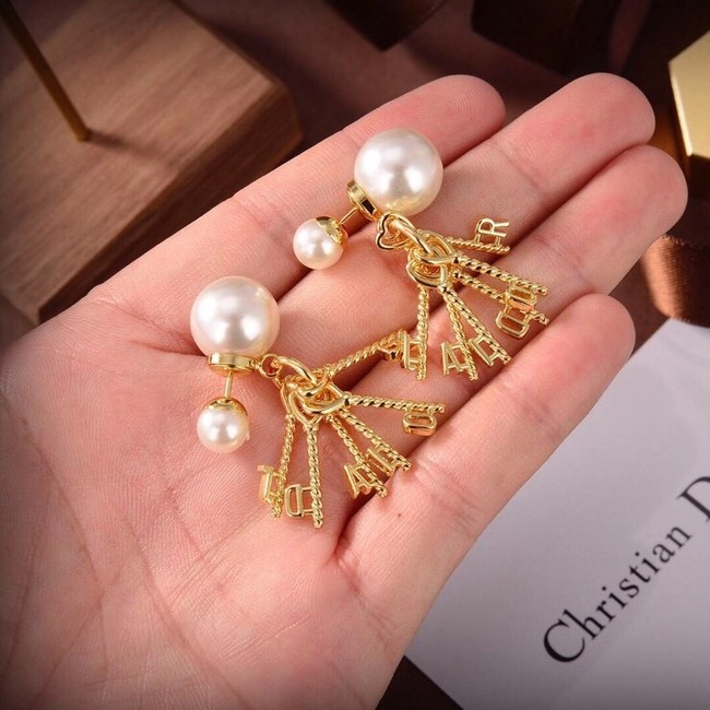 Dior Earrings CE6550