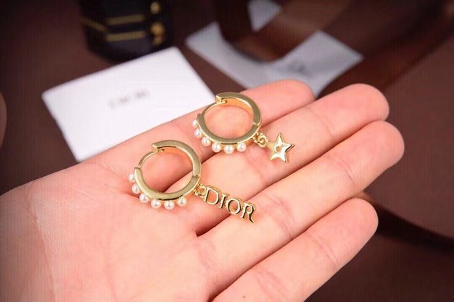 Dior Earrings CE6557