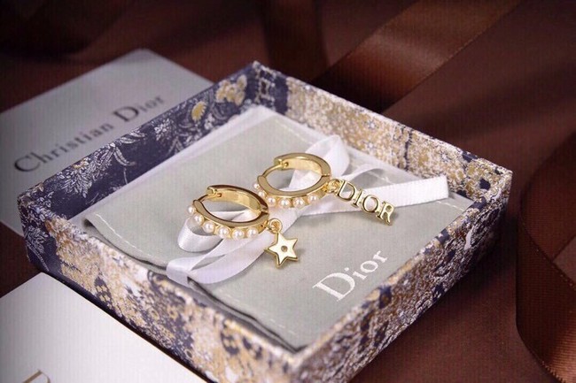 Dior Earrings CE6557