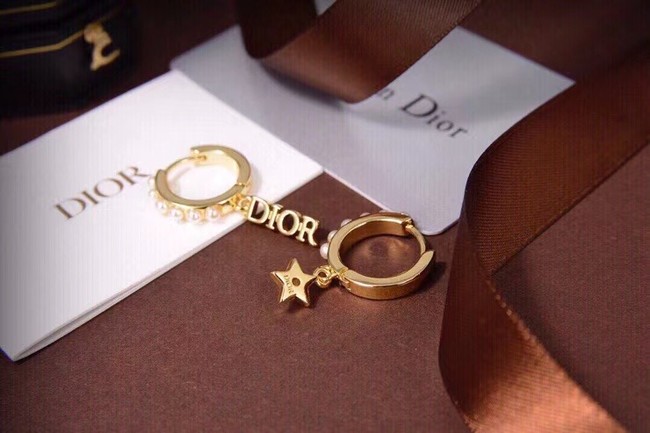 Dior Earrings CE6557