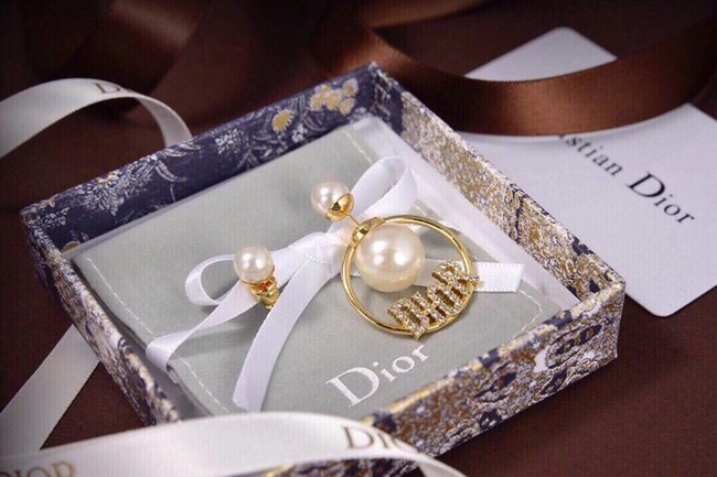 Dior Earrings CE6558