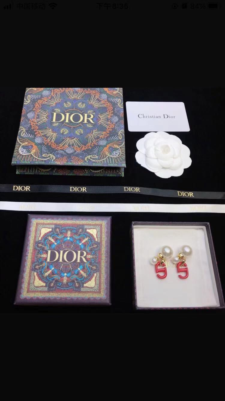 Dior Earrings DE6586