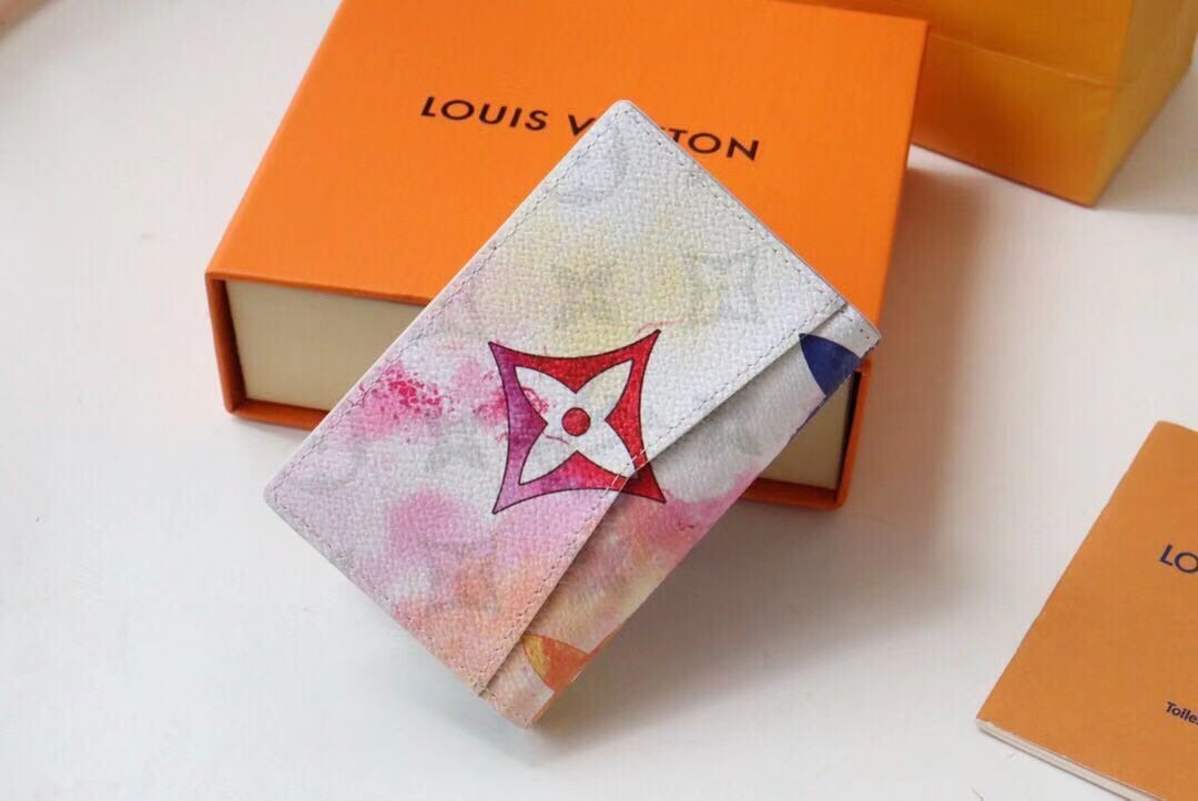 Louis Vuitton POCKET ORGANIZER M80588 Watercolor