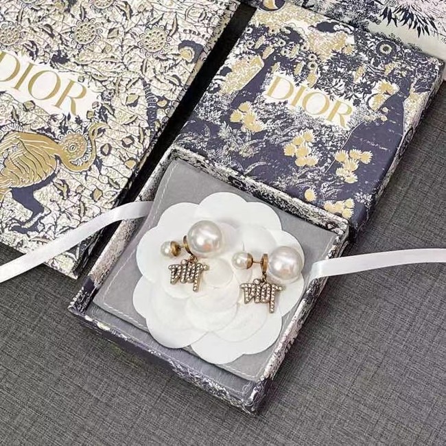 Dior Earrings CE6617