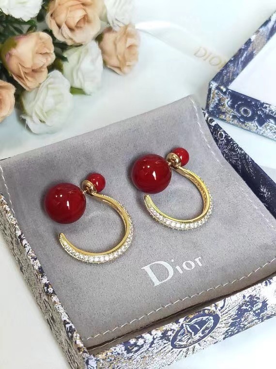 Dior Earrings CE6652