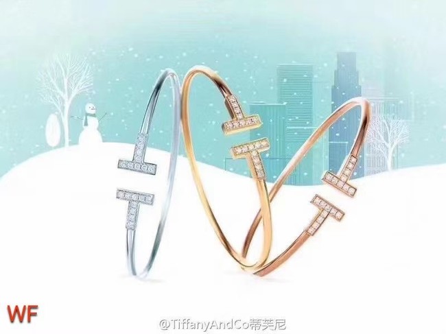 TIFFANY Bracelet CE6667