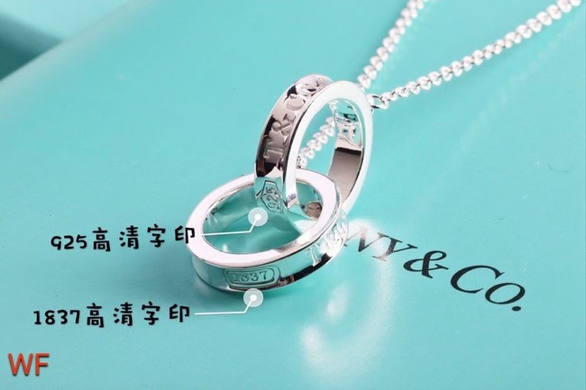 TIFFANY Necklace CE6670