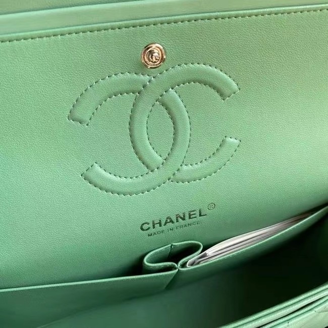 chanel classic handbag Lambskin & silver Metal A01112 light green