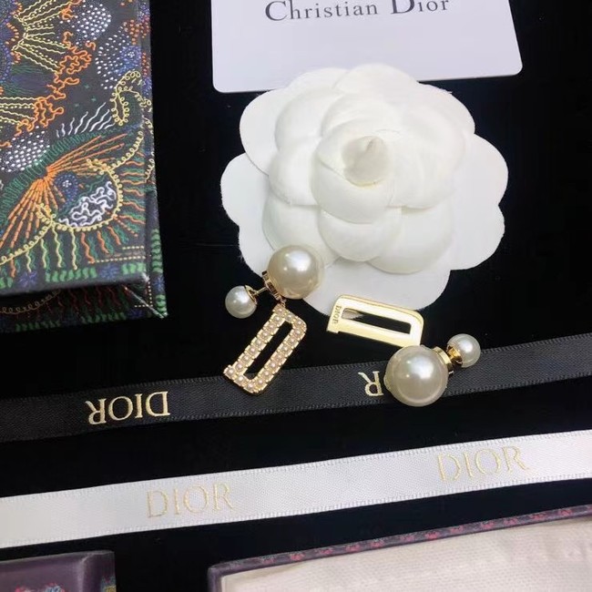 Dior Earrings CE6681