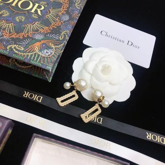 Dior Earrings CE6681