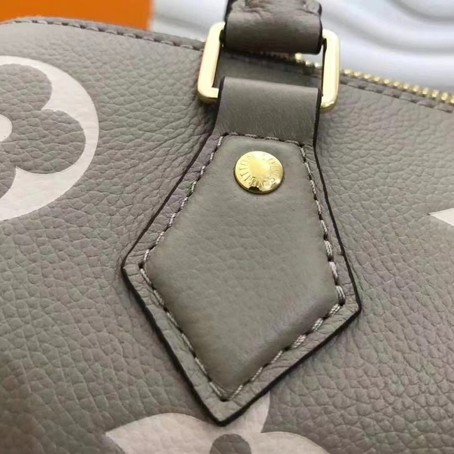 Louis Vuitton SPEEDY BANDOULIERE 25 M58947 grey