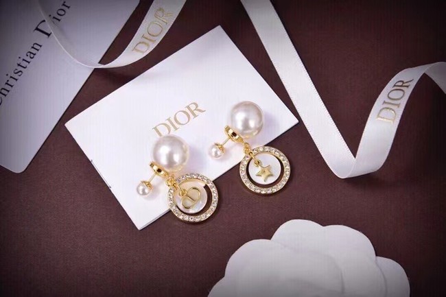 Dior Earrings CE6738