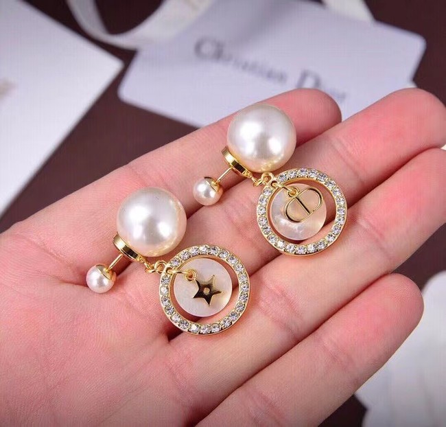 Dior Earrings CE6738