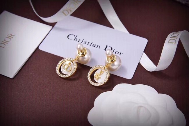 Dior Earrings CE6738