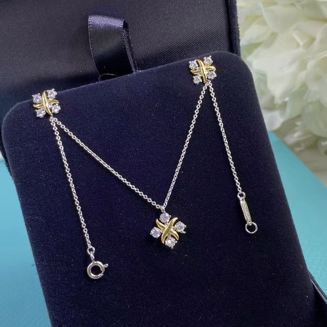 TIFFANY Necklace CE6760