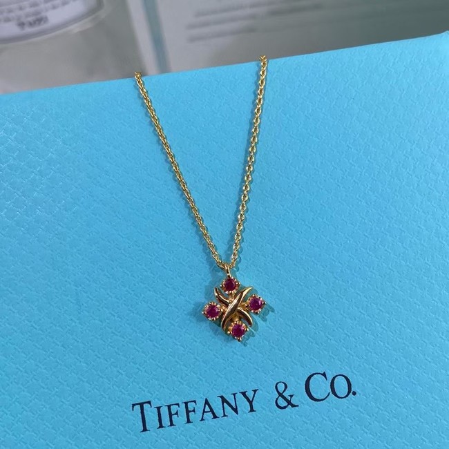 TIFFANY Necklace CE6764