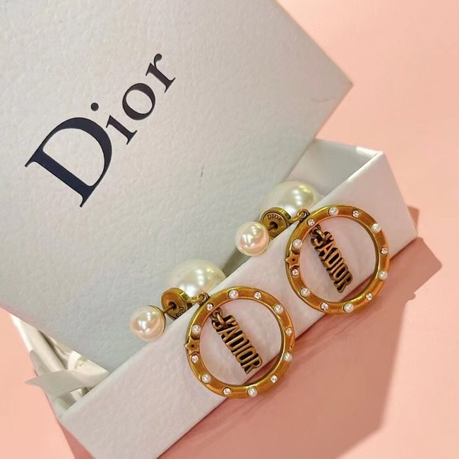 Dior Earrings CE6782