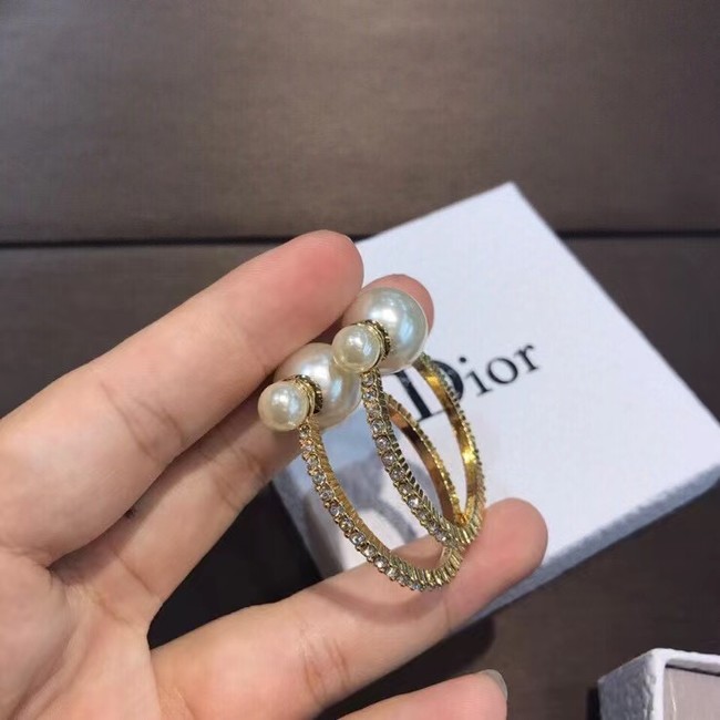 Dior Earrings CE6842