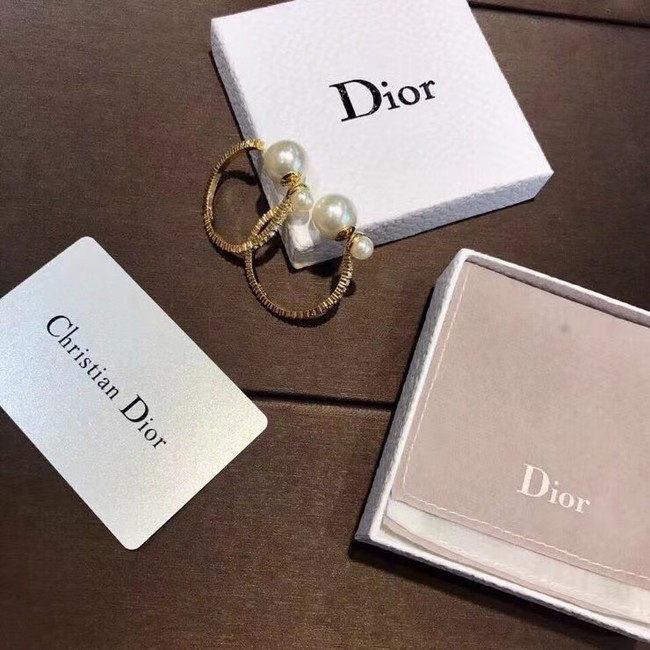 Dior Earrings CE6842