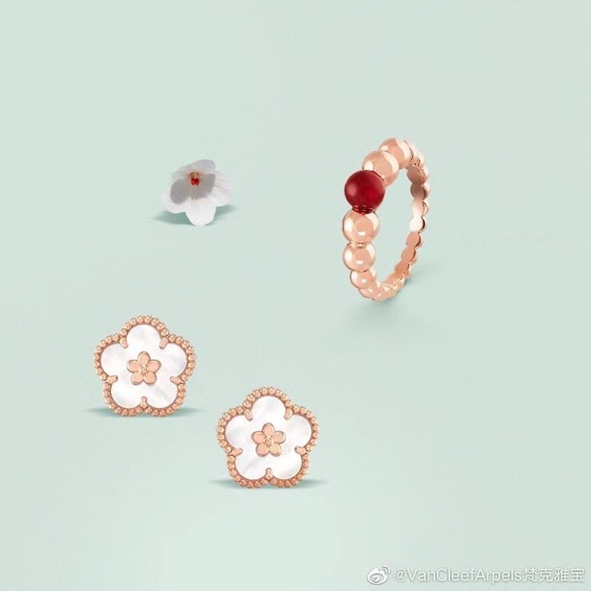 Van Cleef & Arpels Earrings CE6837