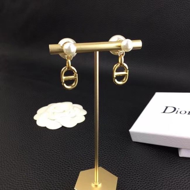 Dior Earrings CE6885