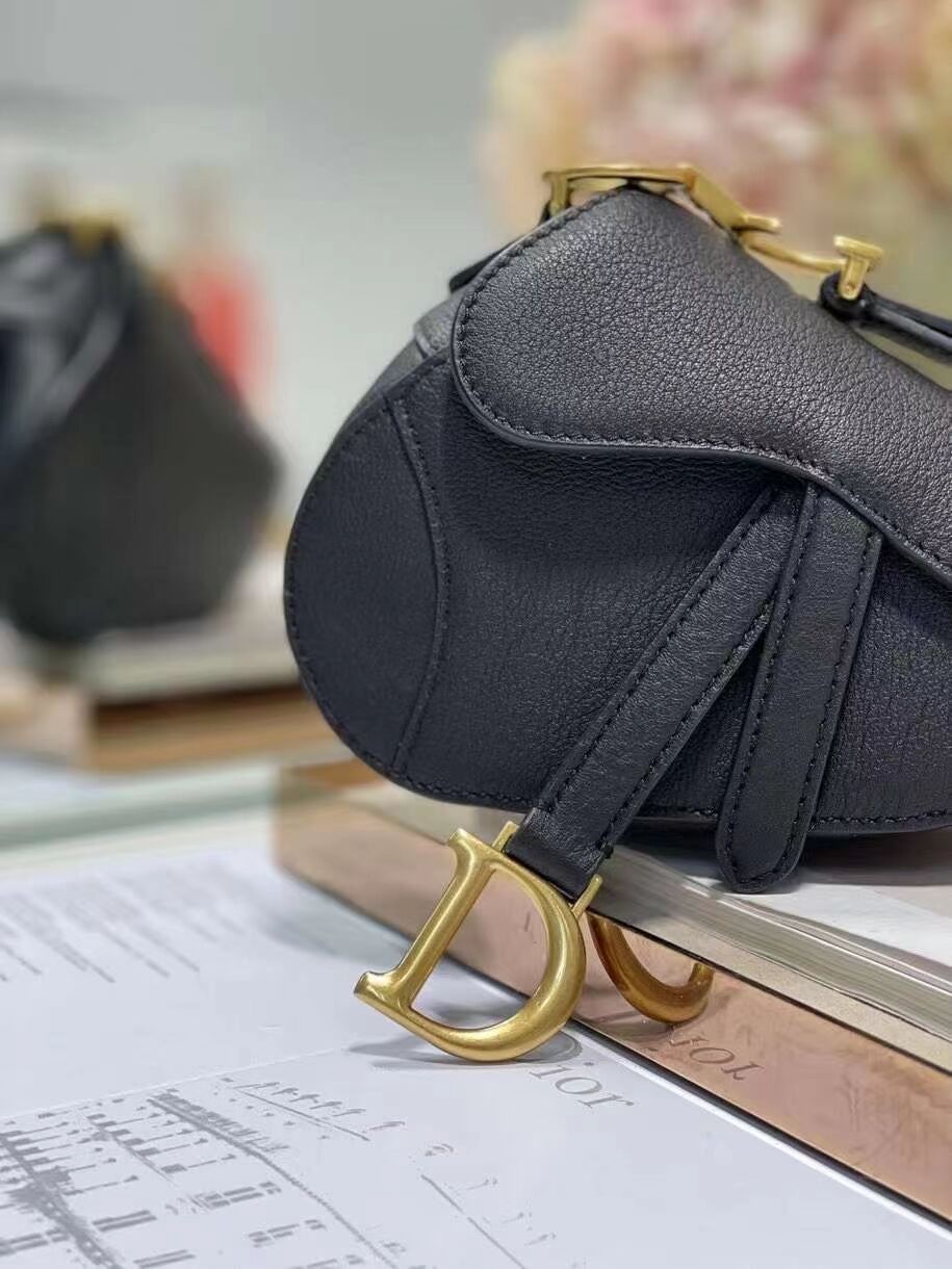 DIOR SADDLE BAG mini Goatskin C8160 black