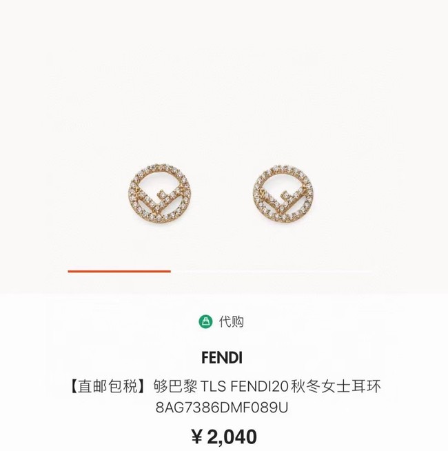 Fendi Earrings CE6937