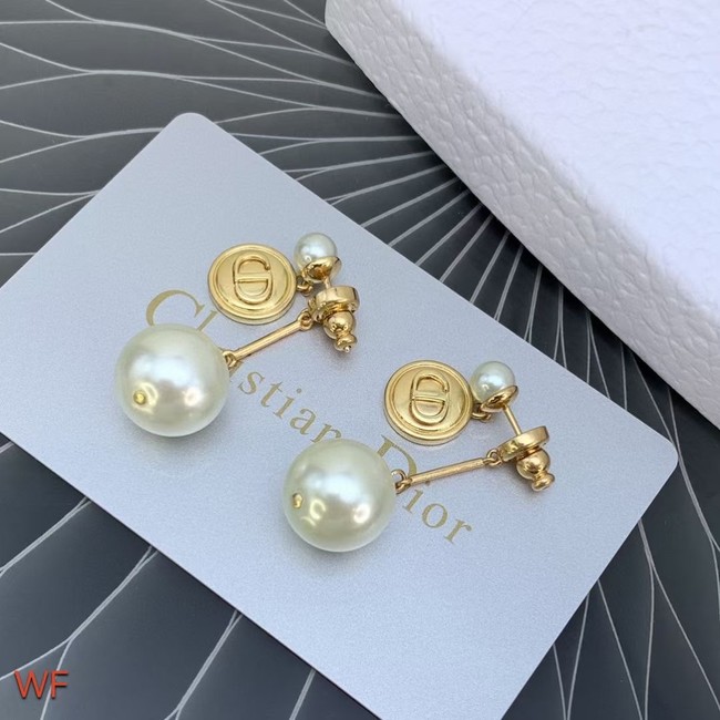 Dior Earrings CE6954