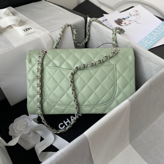 Chanel Flap Shoulder Bag Grained Calfskin A01112 silver-Tone Metal green