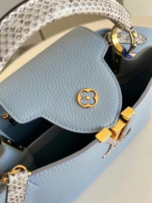 Louis Vuitton CAPUCINES PM M97980 light blue