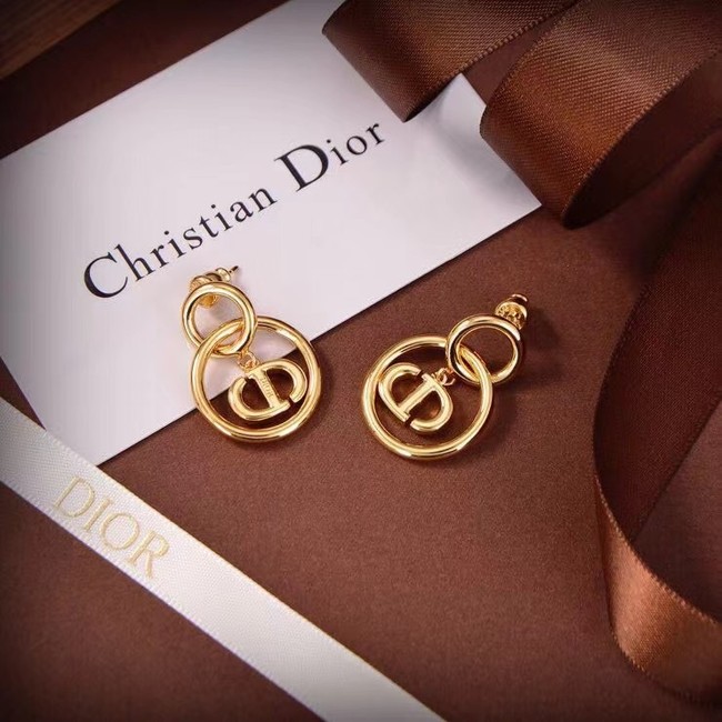 Dior Earrings CE7104