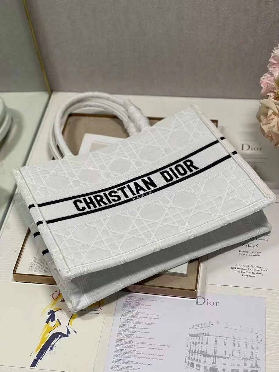 SMALL DIOR BOOK TOTE Velvet C1287-1 white