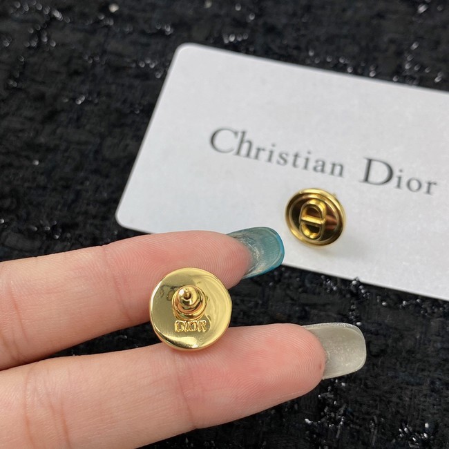 Dior Earrings CE7149