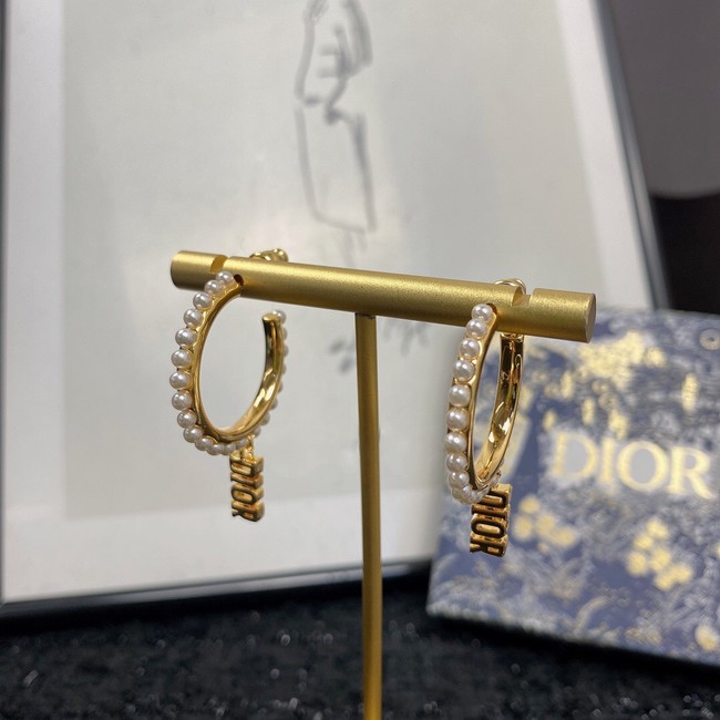 Dior Earrings CE7151