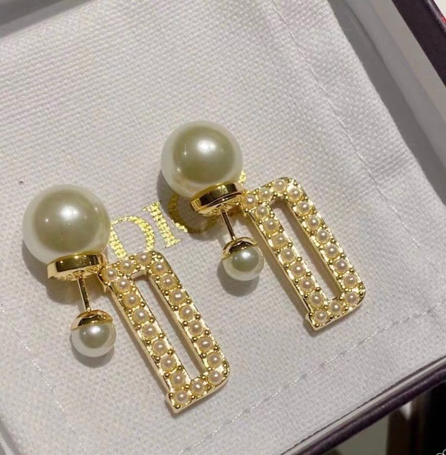 Dior Earrings CE7152