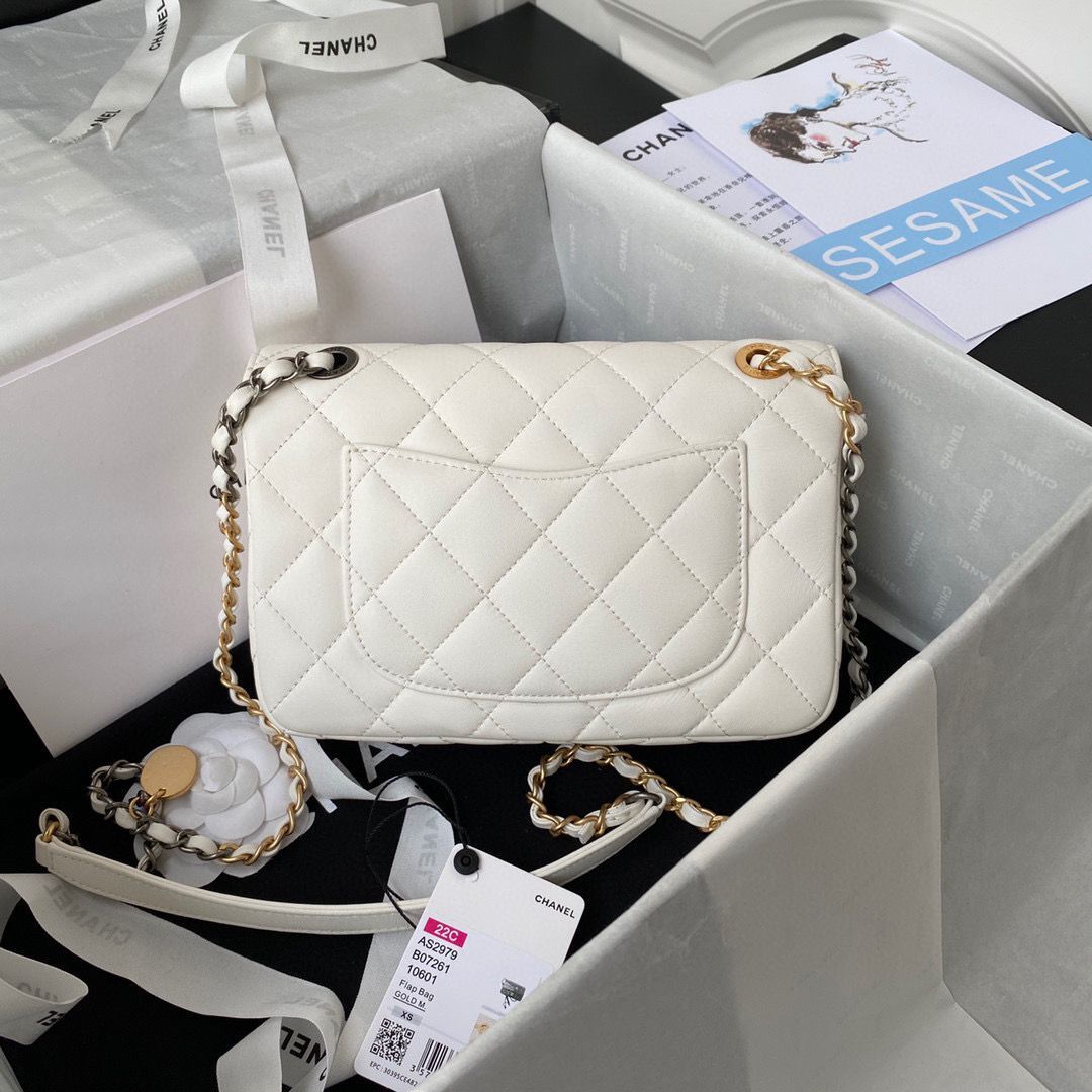 Chanel Original Leather Pearl Hairpin Badge Bag AS2979 White