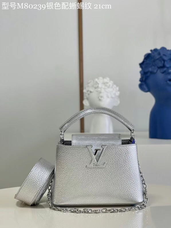 Louis Vuitton CAPUCINES MINI M80239 silver