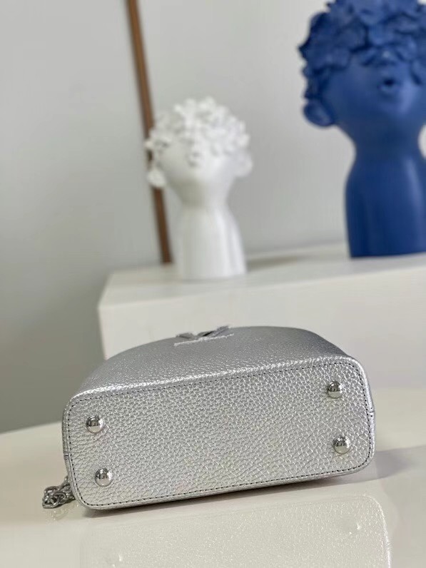 Louis Vuitton CAPUCINES MINI M80239 silver