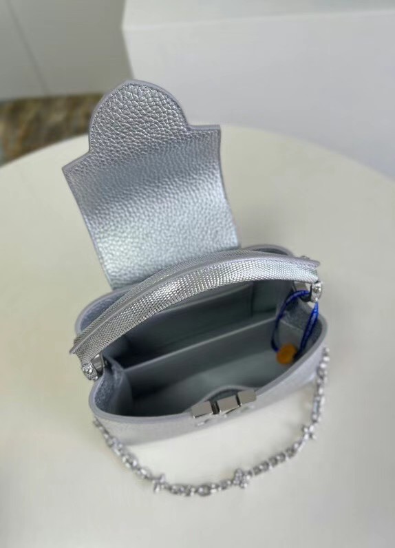 Louis Vuitton CAPUCINES MINI M80239 silver